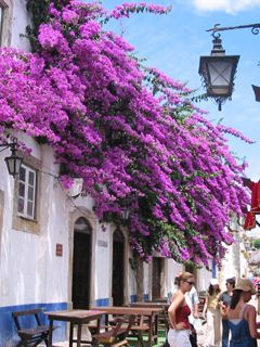 Obidos