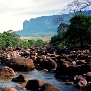 Roraima