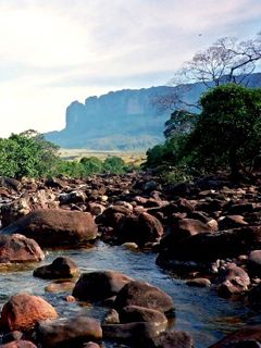 Roraima