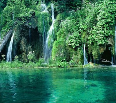 Croatia - Green Forest and Waterfall