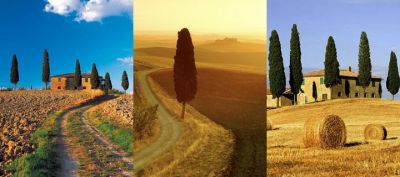 Toscana