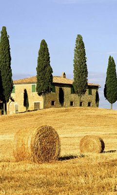 Campos da Toscana