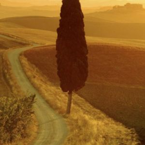 Toscana