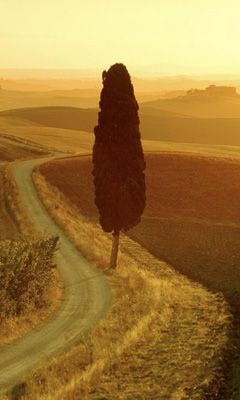 Toscana