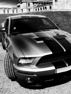 Shelby