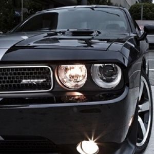 Dodge