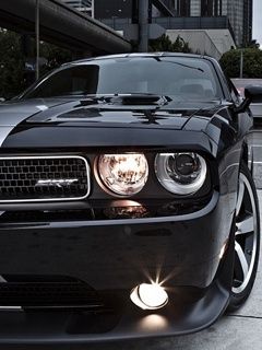 Dodge