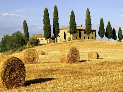 Campos da Toscana