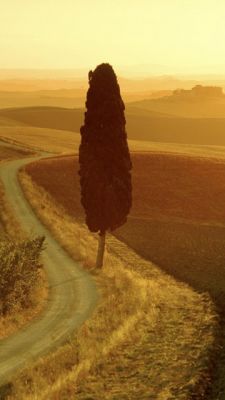 Toscana