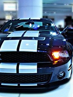 Mustang