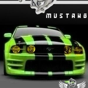 Mustang