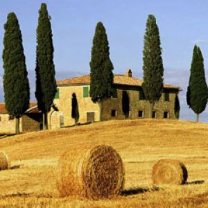 Campos da Toscana