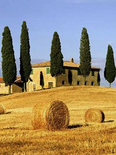 Campos da Toscana