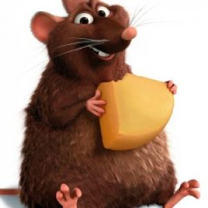 ratatouille