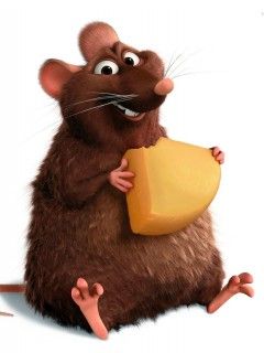 ratatouille