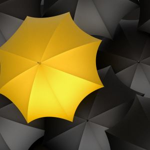 Yellow umbrella