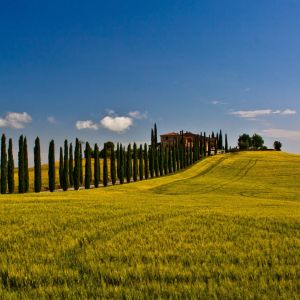 Tuscany