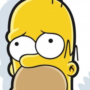 Homer