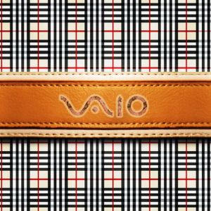 Vaio