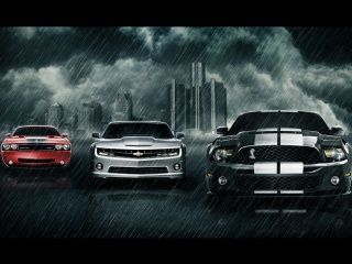 Muscle