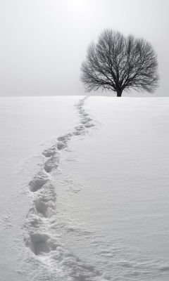 Snowprint