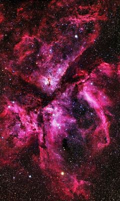 Universum