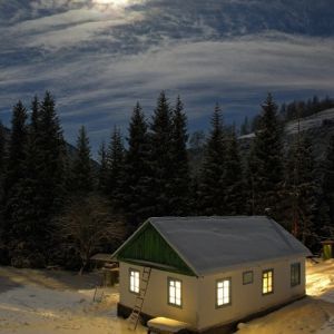 Moonlit Winter Night