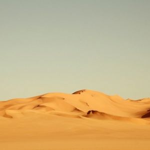 Desert