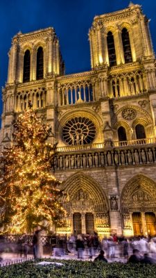 Notre Dame de Paris Christmas
