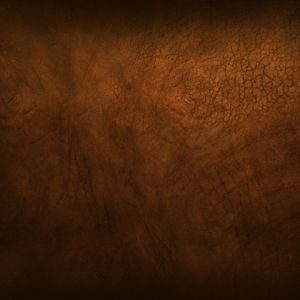 Grunge Cracks
