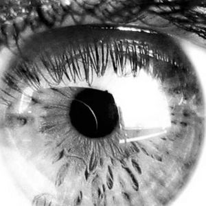 Eye