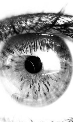 Eye