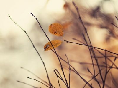 November