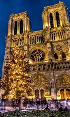 Notre Dame de Paris NoĂ?l