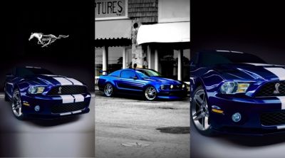 mustang shelby