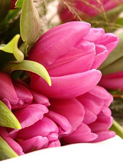 flowers tulips bouquet