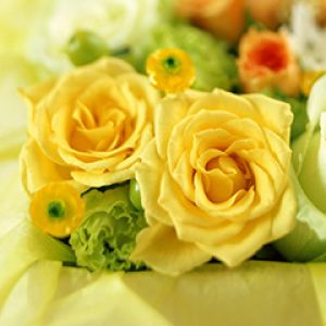 Yellow roses bouquet