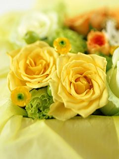 Yellow roses bouquet