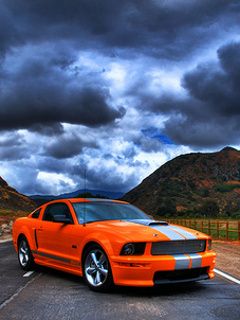 Mustang