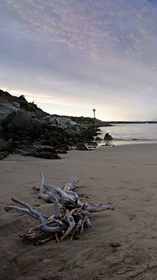 ventura