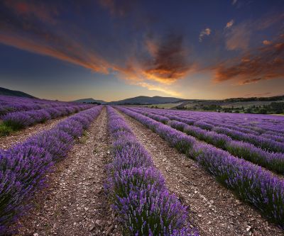 provence