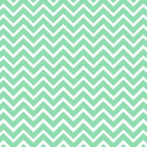 Mint Chevron