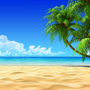 tropical beach