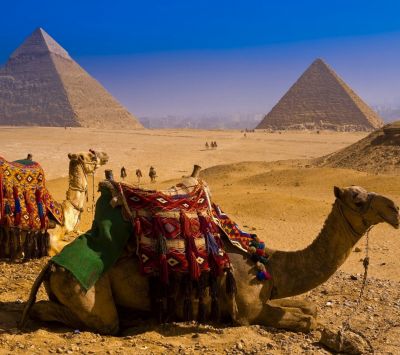 Pyramids Camel Desert