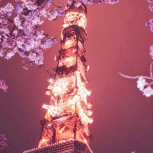 eiffel tower at night