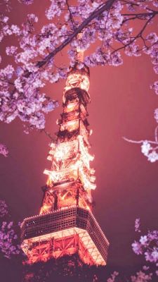 eiffel tower at night