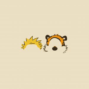 Calvin Hobbes