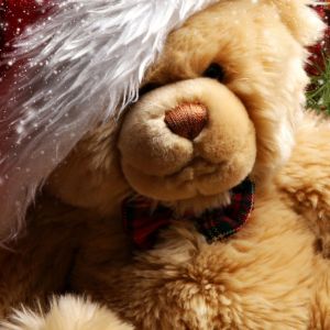 Christmas Teddy Bear