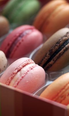 Macaroon