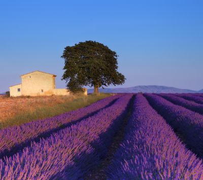 Provence Francúzko